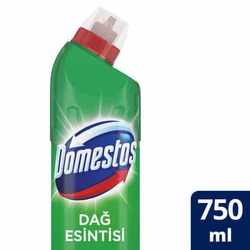 Domestos Çamaşır Suyu 750gr - DOMESTOS