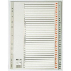 Esselte A4 PP Seperatör 1-31 Rakam - ESSELTE