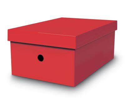 Mas Çok Amaçlı Karton Kutu Kırmızı - 1